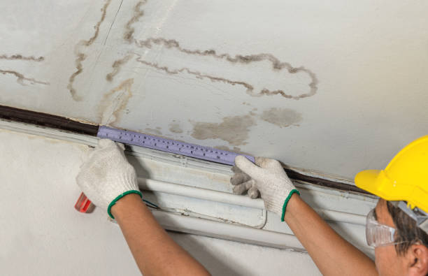 Reliable Mold Remediation contractor in Spruce Pine, NC by Local Water Damage Repair